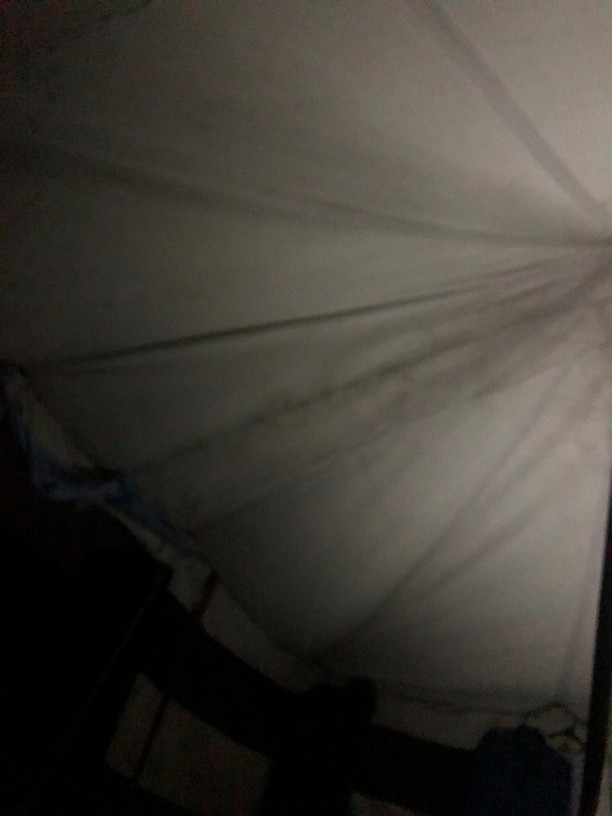 2025年6月30日(月)