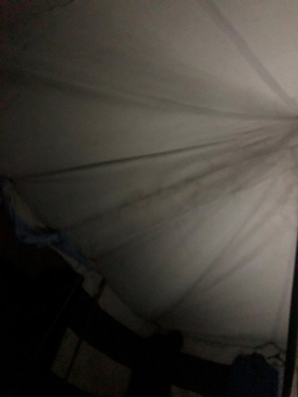 2025年7月5日(土)