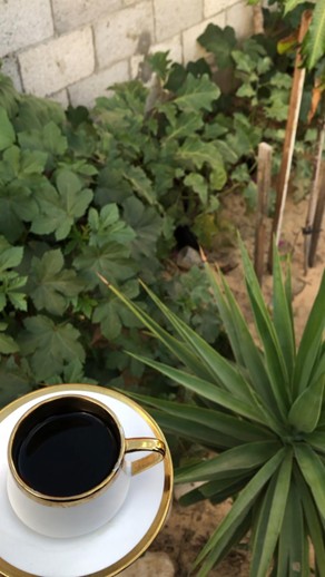 2025年7月8日(火)