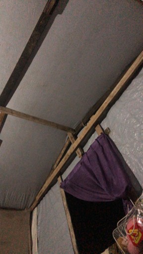 2025年7月11日（金）